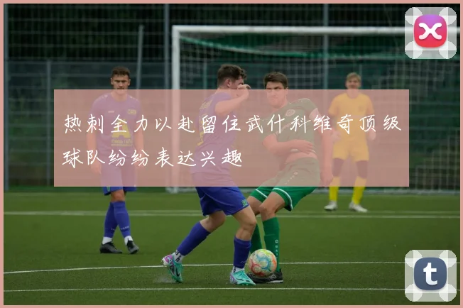 热刺全力以赴留住武什科维奇顶级球队纷纷表达兴趣