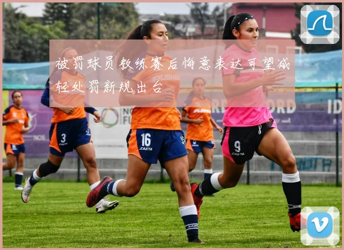 被罚球员教练赛后悔意表达可望减轻处罚新规出台